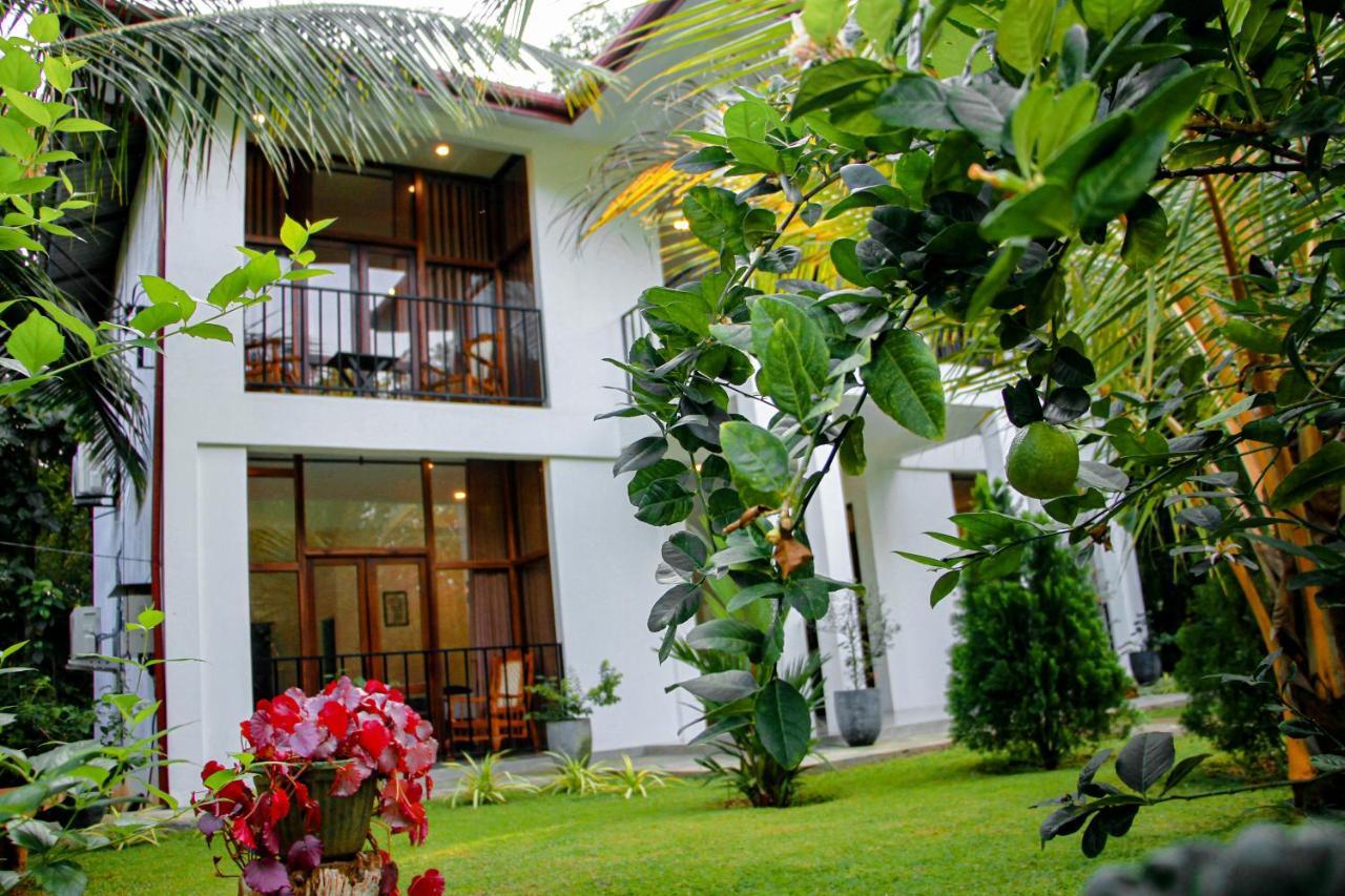 Manike Lodge Habarana Exterior foto