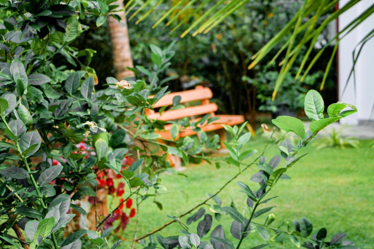 Manike Lodge Habarana Exterior foto